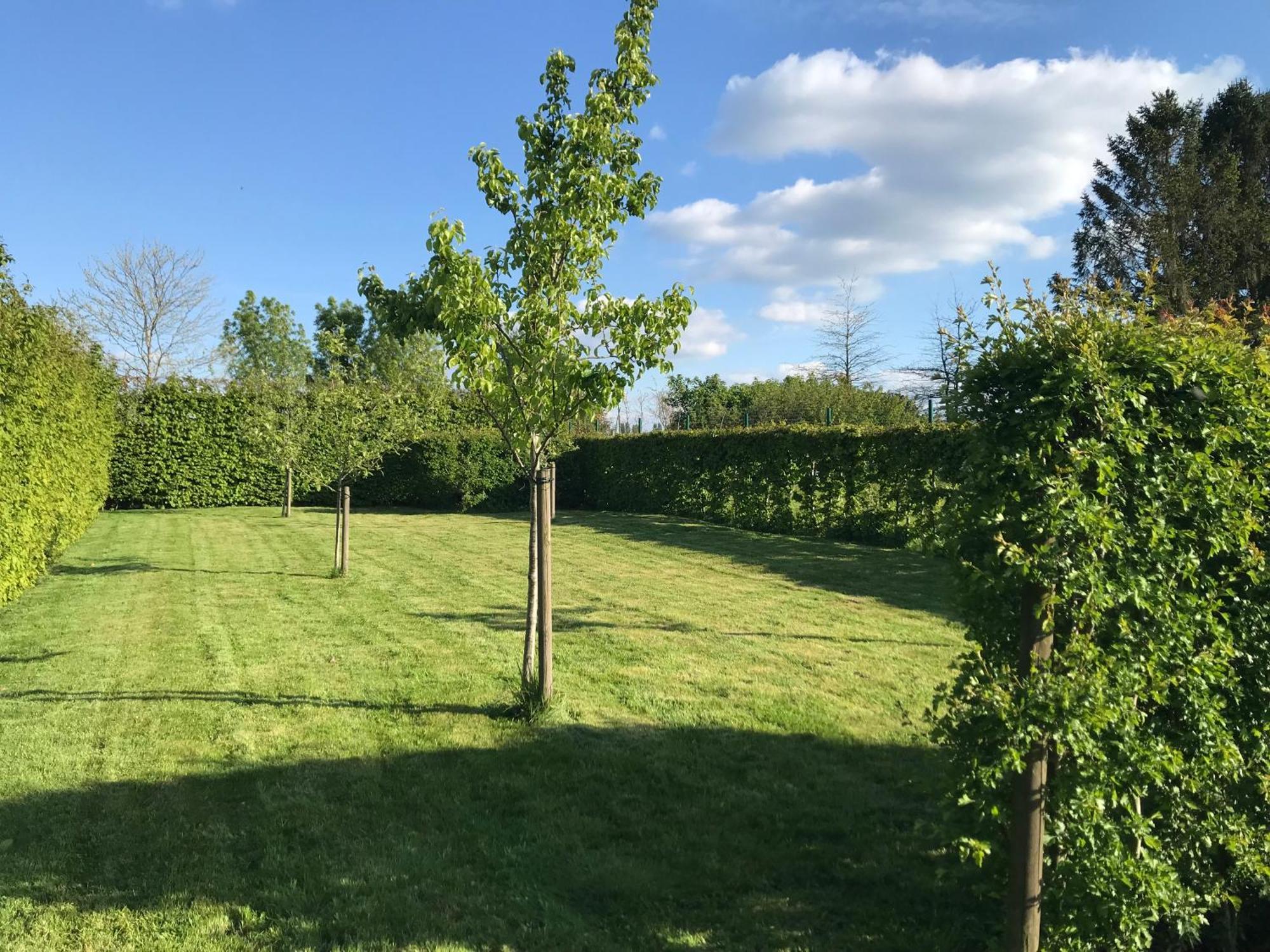 The Suite Escape Suite Wood Sint-Lievens-Houtem Экстерьер фото
